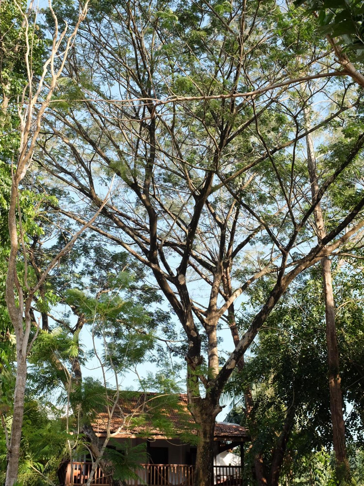 Rumah Jah Langkawi 珍南海滩 外观 照片